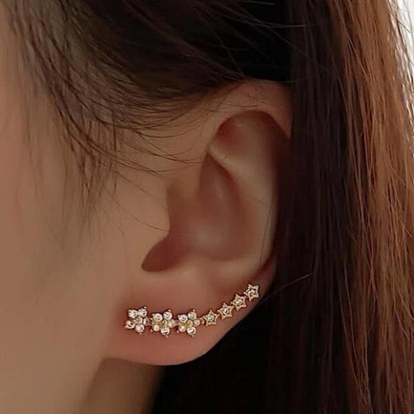 Fashion Pearl Earing 350