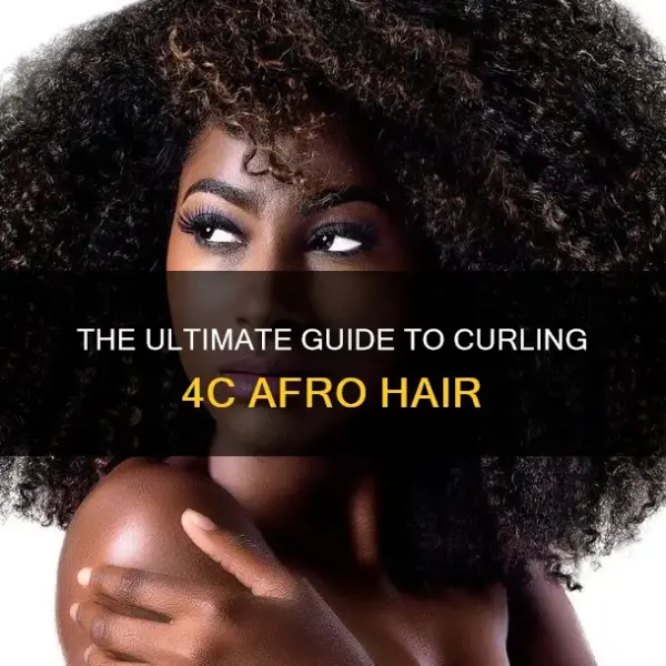 Afro Water Curl 4