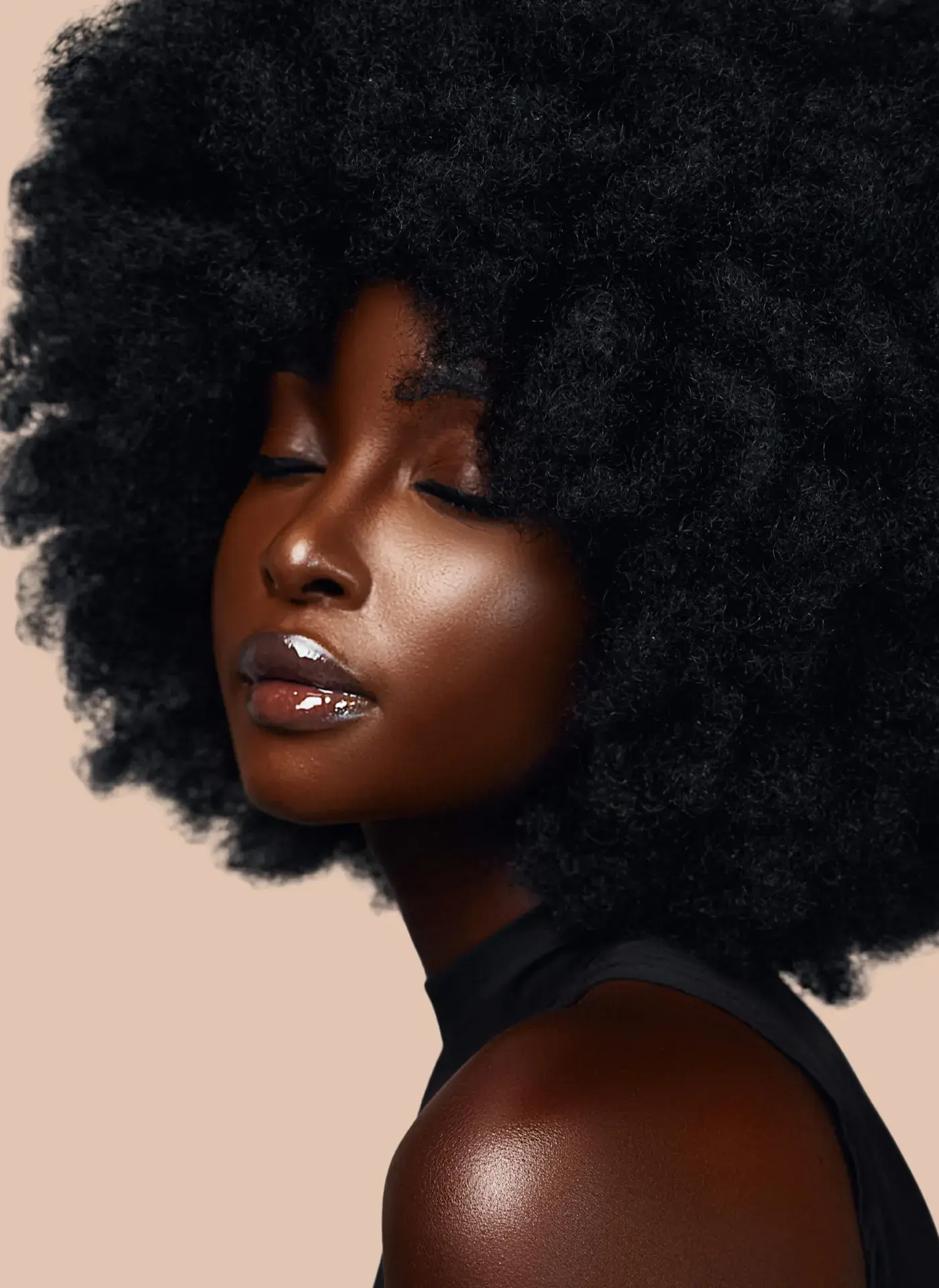 Everyday Hair Essentials